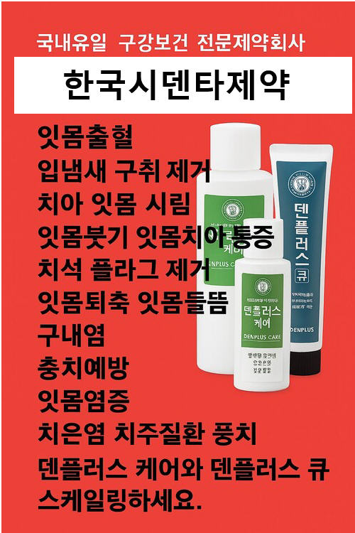 어금니이빨잇몸
