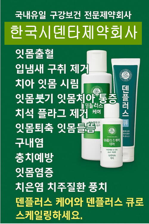 치석제거하는법